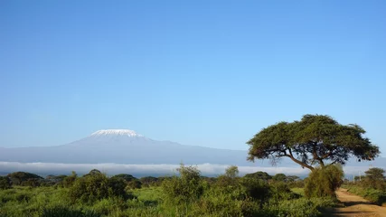Photo sur Plexiglas Kilimandjaro kilimanjaro and kenyan landscape