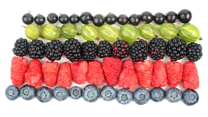 raspberries, gooseberries, blackberries, currants and blueberries in rows on a white background