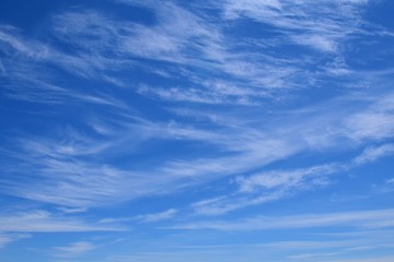 blue sky with light feathered clouds for backgrounds
