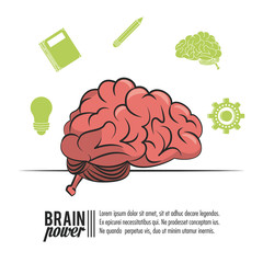 Brain power poster template with information vector illustration graphic design