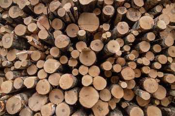 pile of wood logs