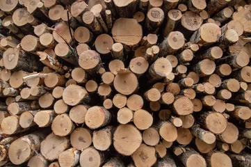 Möbelaufkleber pile of wood logs © Ronja