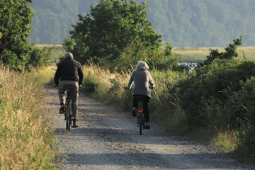 Senioren Ehepaar beim Radfahren in der Natur