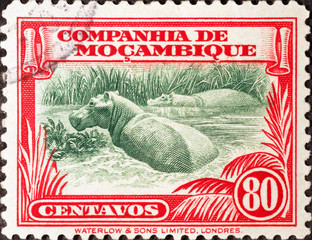 Hippopotamus on vintage postage stamp of Mozambique