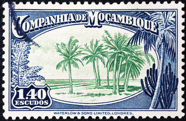 Tropical palms on vintage stamp of Mozambique