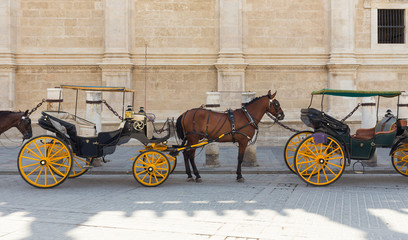 Horse-drawn carriages under the walls of the Seville Cathedral