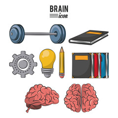 Set of human brains icons vector illustration graphic design