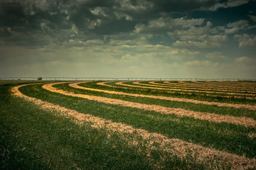 Oklahoma farm field with dramatic skies and curving crop lines