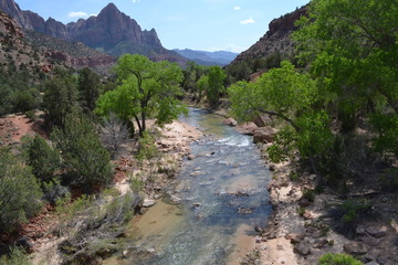 Zion park