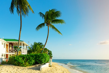 Beachfront living on the tropical island of Barbados - obrazy, fototapety, plakaty