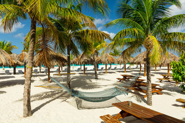 Hammocks and sun beds under the palm trees on exotic Barbados beach - obrazy, fototapety, plakaty