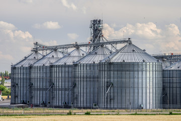 Fototapeta na wymiar Mown wheat field before the elevator for grain storage. Grain warehouse. Agricultural complex.