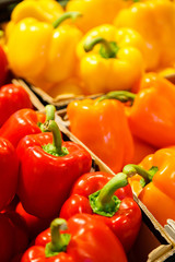Colourful mix of different red, orange, yellow fresh bell pepper at market