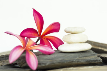 Fototapeta na wymiar White spa stone with frangipani flowers on the slate floor. The concept of balance and harmony