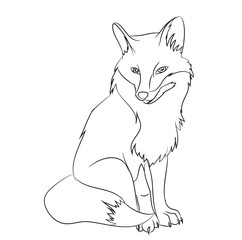 fox  sitting, lines, vector