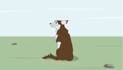 dog sitting, outdoors