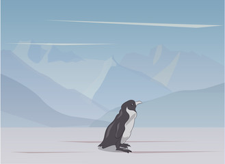 penguin sketch color, vector