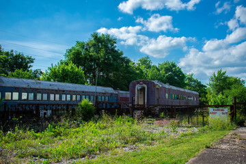 Fototapeta premium Long for the day