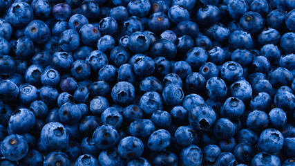 Fresh blueberry background. Texture blueberry berries close up.