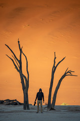 Young man photographer and traveler standing between dead trees in deadvlei (Sossusvlei) during sunrise, famous natural landmark in Namib desert of Namibia, Africa