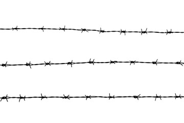 silhouette of the barbed wire on white background