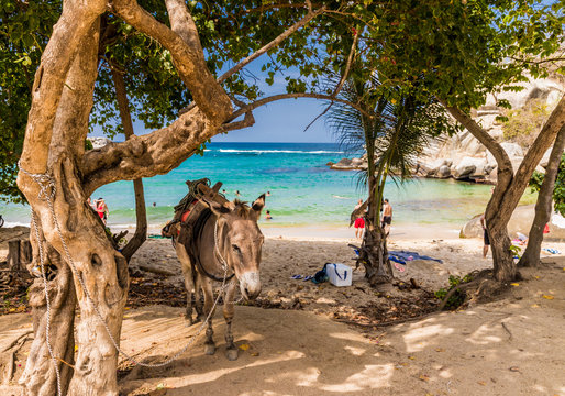 A view in Tayrona National Park in Colombia