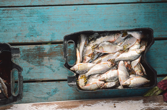 Peixes
