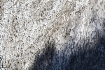 White  salt formation near a salted spring in Parajd, Romania