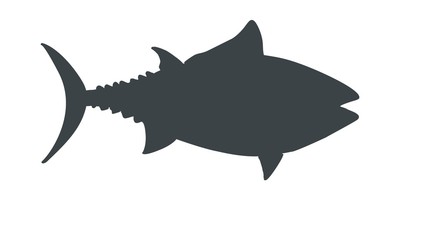 Fish silhouette. Tuna handdrawn illustration. Vector image