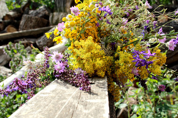 flowers, flower, garden, pink, nature, plant, green, summer, spring, blossom, bloom, beautiful, purple, red, color, petunia, plants, beauty, grass, colorful, floral, gardening, white, park, leaf