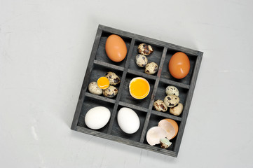 Quail and chicken eggs in a box divided into sections. Some eggs are broken. White background. Close-up. View from above.