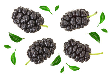 Mulberry berry with leaf isolated on white background. Top view. Flat lay