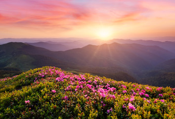 Mountains during flowers blossom and sunrise. Beautiful natural landscape at the summer time