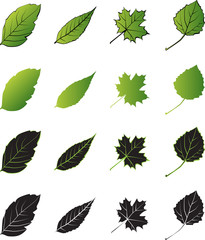 set of leaves