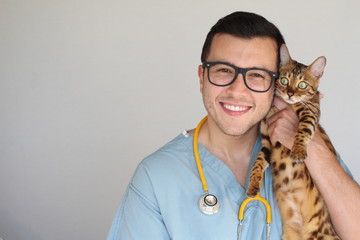 Handsome vet holding a cute bengal cat