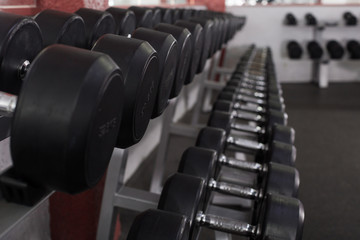 Naklejka na ściany i meble Rows of dumbbells in gym