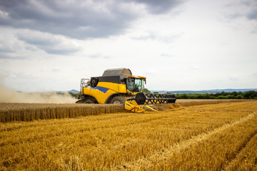 Mähdrescher bei der Arbeit