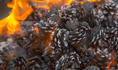  BBQ flame with cones is ready for grilling ,meat and cooking