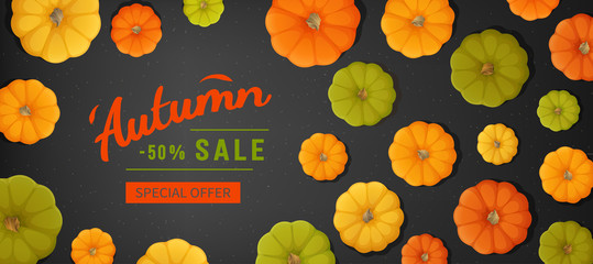 Web banner for Autumn sale. Horizontal banner flyer with yellow, green, orange pumpkins on a black texture. Special seasonal offer. Top view background. Vector illustration.