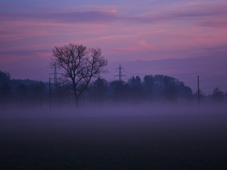 Fototapeta premium nebel stimmung
