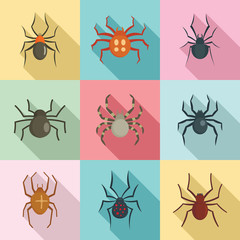 Spider bug caterpillar phobia icons set. Flat illustration of 9 spider bug caterpillar phobia vector icons for web