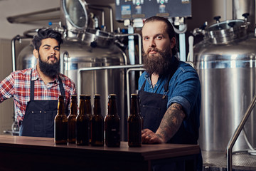 Two interracial hipster full bearded males in a  shirts and aprons working in the brewery.