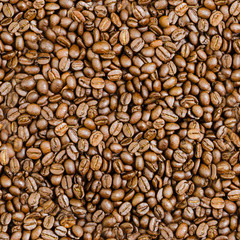 Seamless Tile of Coffee Beans