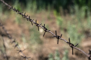 A fence of rusty barbed wire enclosing a path