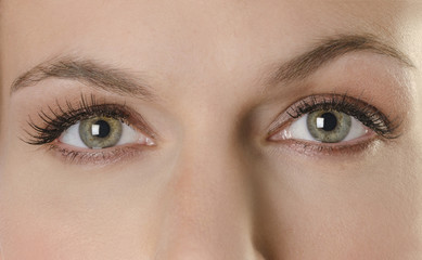 Naklejka premium Close-up of a woman's eye Piękne zielone oczy