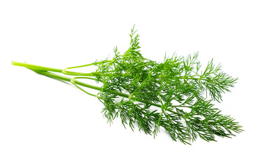Dill on white
