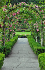 Rose garden archway