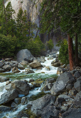 Naklejka na ściany i meble River flowing through rocks and trees in Yosemite