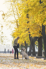 Fototapeta premium A blonde is walking with a labrador in the park.
