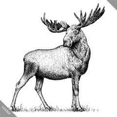 Fototapeta premium black and white engrave isolated elk hand draw vector illustration